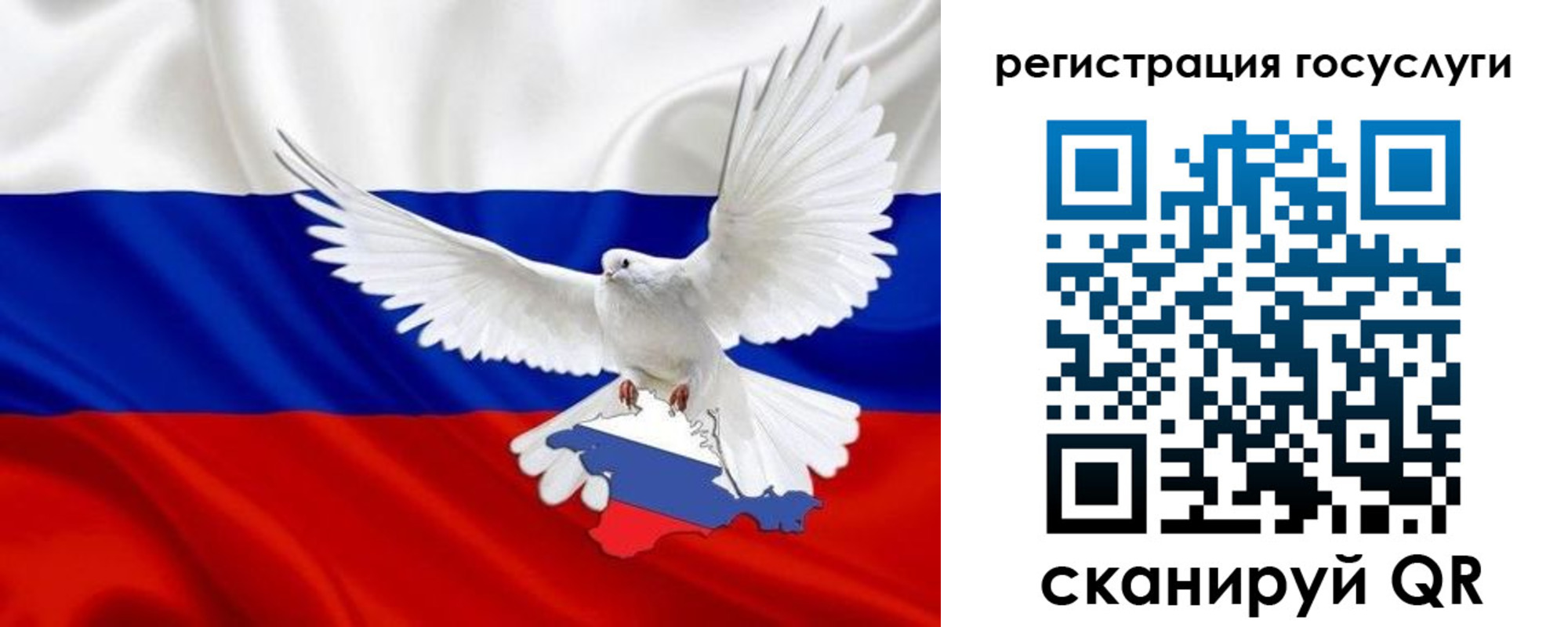 прописка законно в Камышлове